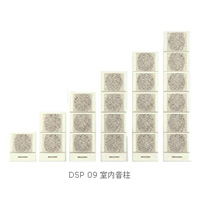 DSPPA  DSP09ϵ,ʿ  DSP09ϵ DSP09ϵ,DSPPA(ʿ)-----cŴ