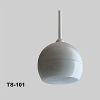 ANG-PA()컨:TS-101