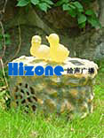 HIZONE ݵ Z-2011SPLMC,L ݵ Z-2011SPLMC Z-2011SPLMC,HIZONE(L)-----c(din)Ŵ